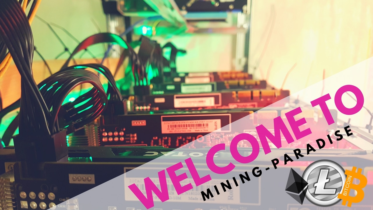 Bitcoin mining server mieten